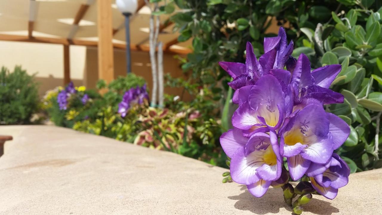Baglio Cudia Resort Marsala Zewnętrze zdjęcie